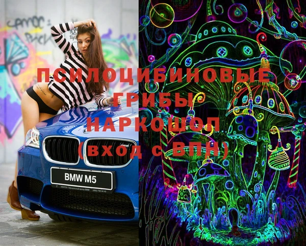 прущий лед Абаза