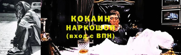 скорость Каменка
