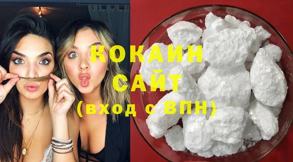 шишки Горнозаводск