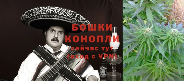 дмт Алексин