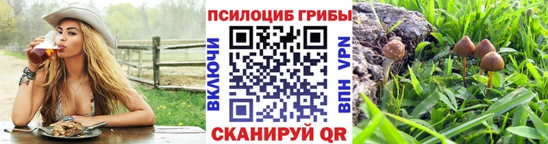 Галлюциногенные грибы прущие грибы  KRAKEN ссылка  Устюжна 