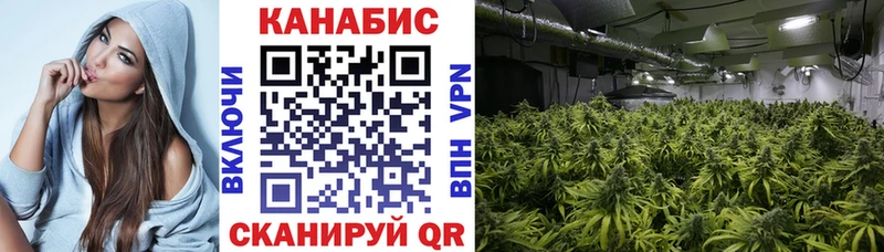 Конопля MAZAR Устюжна